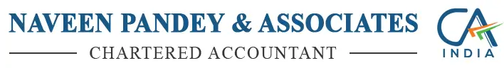 Naveen Pandey & Associates logo